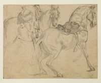 Study of two horses with saddles