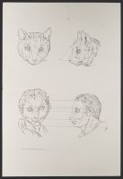 Two male human heads and two cat heads