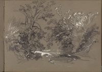 Gully with Trees