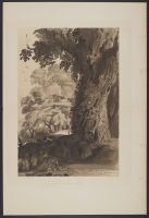 Grand Stem of a Tree, Overgrown with Ivy, Sketched in the Wild Grounds of the Villa Madama near Rome