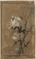Thistle heads with a bee