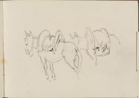Two saddled horses