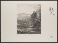 Holne Chase