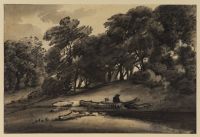 Wooded landscape with figure resting against felled tree trunk  (recto)