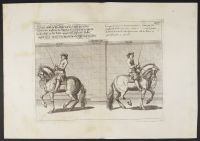 Two equestrian studies
