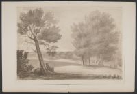 Landscape with a figure sitting by a tree next to a pool