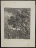 Landscape with trees by a river