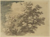 Study of trees (recto)