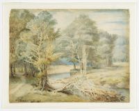 Werrington Park, near Launceston in Cornwall