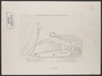 The Contention for Guido de Montefeltro, Inferno Canto 27, Plate 29