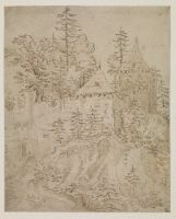 Ruined castle on a cliff wooded with fir trees