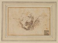Head of a cherub
