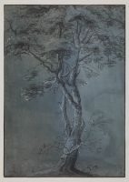 Study of a tree - birch (?)