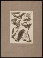 Studies of feet