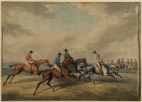 Horses on a race course - the start at Epsom