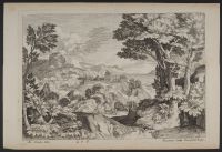 Landscape with trees