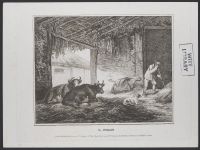 Interior of a barn with cattle, dog and male figure