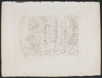Narcissus (Narcisse)