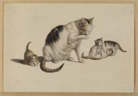 Cat and three kittens