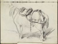 Horse with harness
