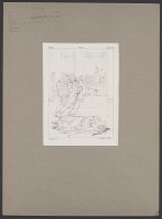 Athalie, Act V, Scene VII