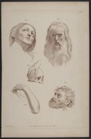Fig. 1 The Head of a Magdalen, by Landfraco; Fig. 2 A Head, by  Luovico Caracci; Fig.3 and 4 after Guido; Fig V. A Head of St.  Luke by Rubens.
