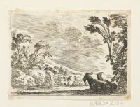 Two goats resting in a landscape