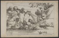 River landscape