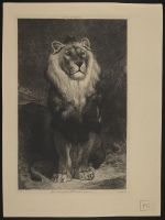 Lion offert au Jardin des Plantes par le roi Victor-Emmanuel