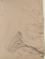 Crowns of large trees (design overlaps composition on page 15 r, seeming to provide alternative top to composition)