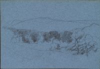 Study of foliage (recto)