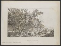 A Forest and Bandits