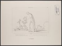 Matilda, Purgatorio Canto 28, Plate 32