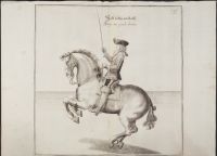 Equestrian study - horse jumping right