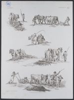 PLOUGHING.