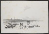 Coastal scene
