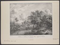 Woody landscape with small wooden footbridge over river