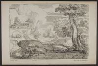 Landscape with a riverbank
