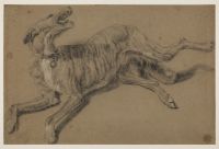Dog lying on the ground howling