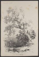 Study of a tree by a stream