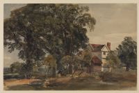 House among trees
