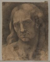 Study of a male head