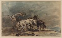 Study of frightened horses