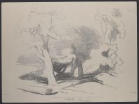 Shaded glen with trees