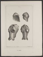 Two views of a helmet and two views of an iron chafron