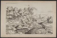 Landscape with sheep and cattle