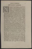 Page of text with decorative illustrations