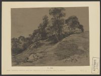 Wooded landscape