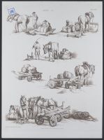 Trucks
