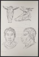 Two pig heads and two male human heads
